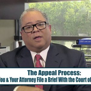 appeal-a-juvenile-dependency-cas appeal-a-juvenile-dependency-cas